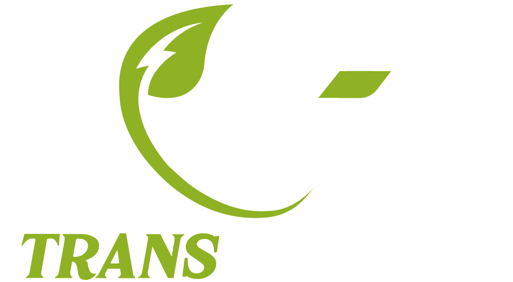 Grupo Transsantana